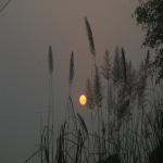 Vraj-Yatra-2014- (1308)